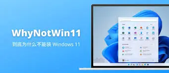 Whynotwin11 Gratuit 2.6.1.1